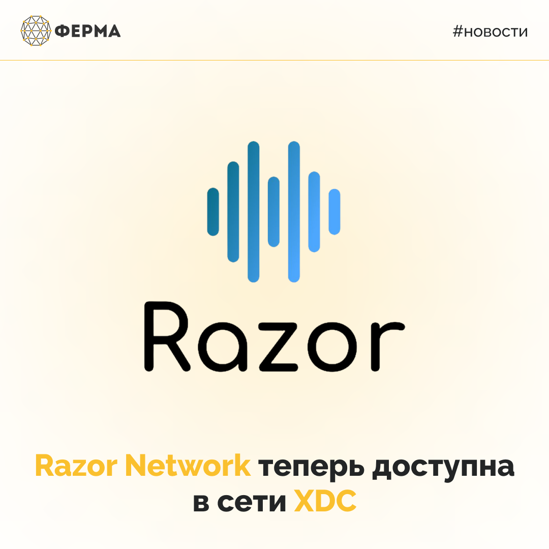 Razor Network теперь доступна в сети XDC