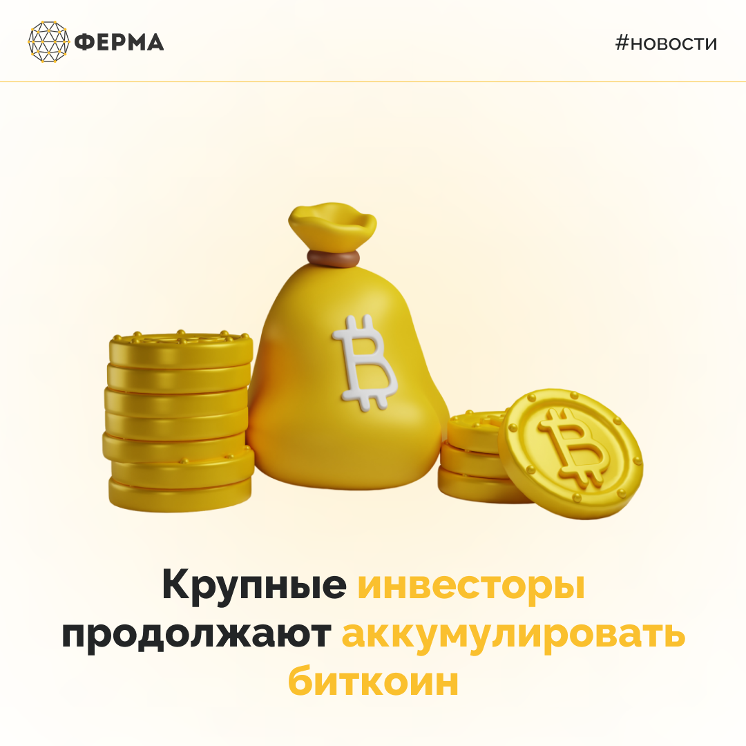 Крупные инвесторы продолжают аккумулировать биткоин