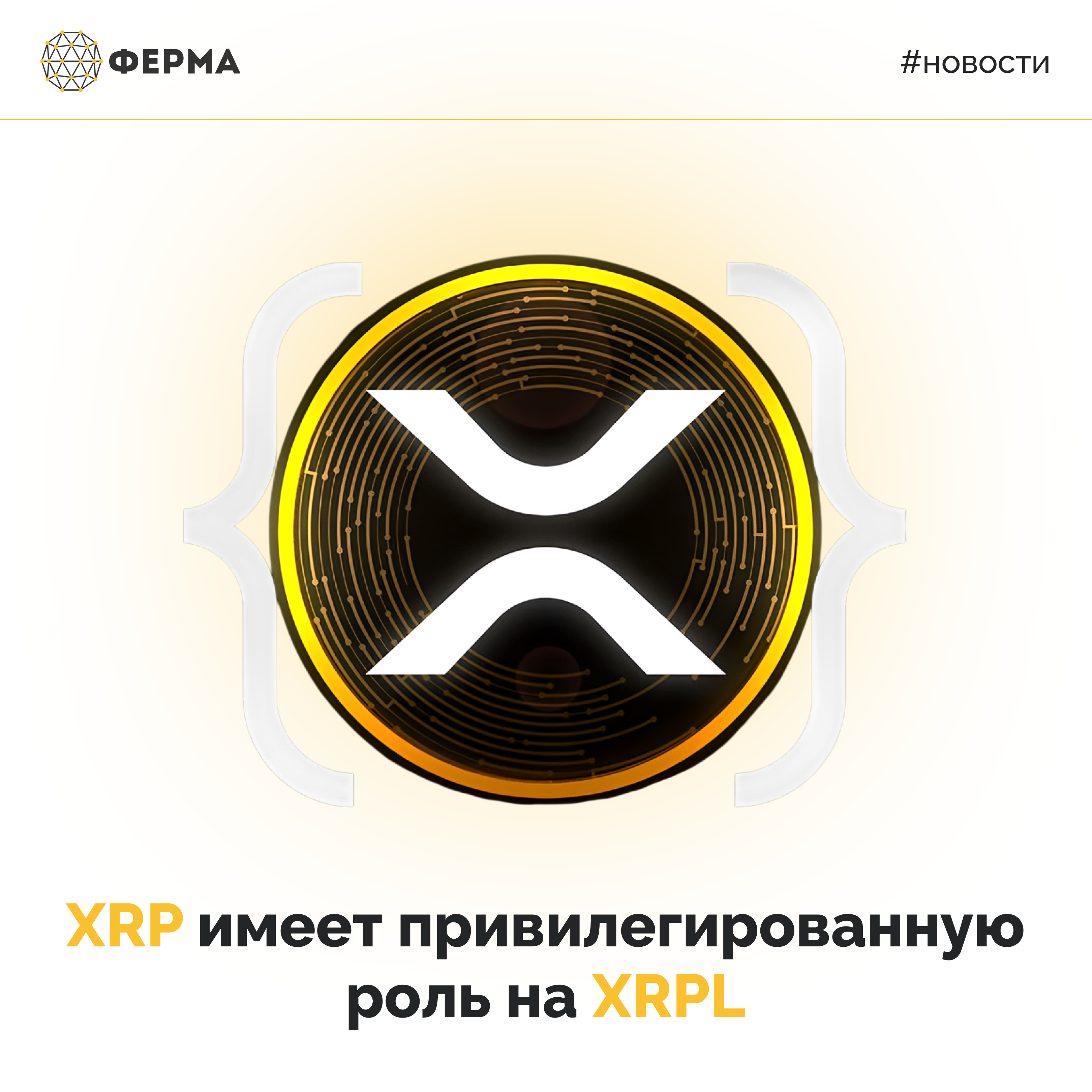 XRP имеет привилегированную роль на XRPL
